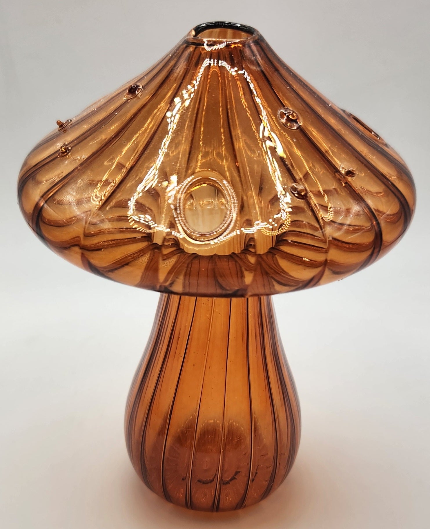 Mushroom Vase /Propagation Vase - Wiggle & Ding