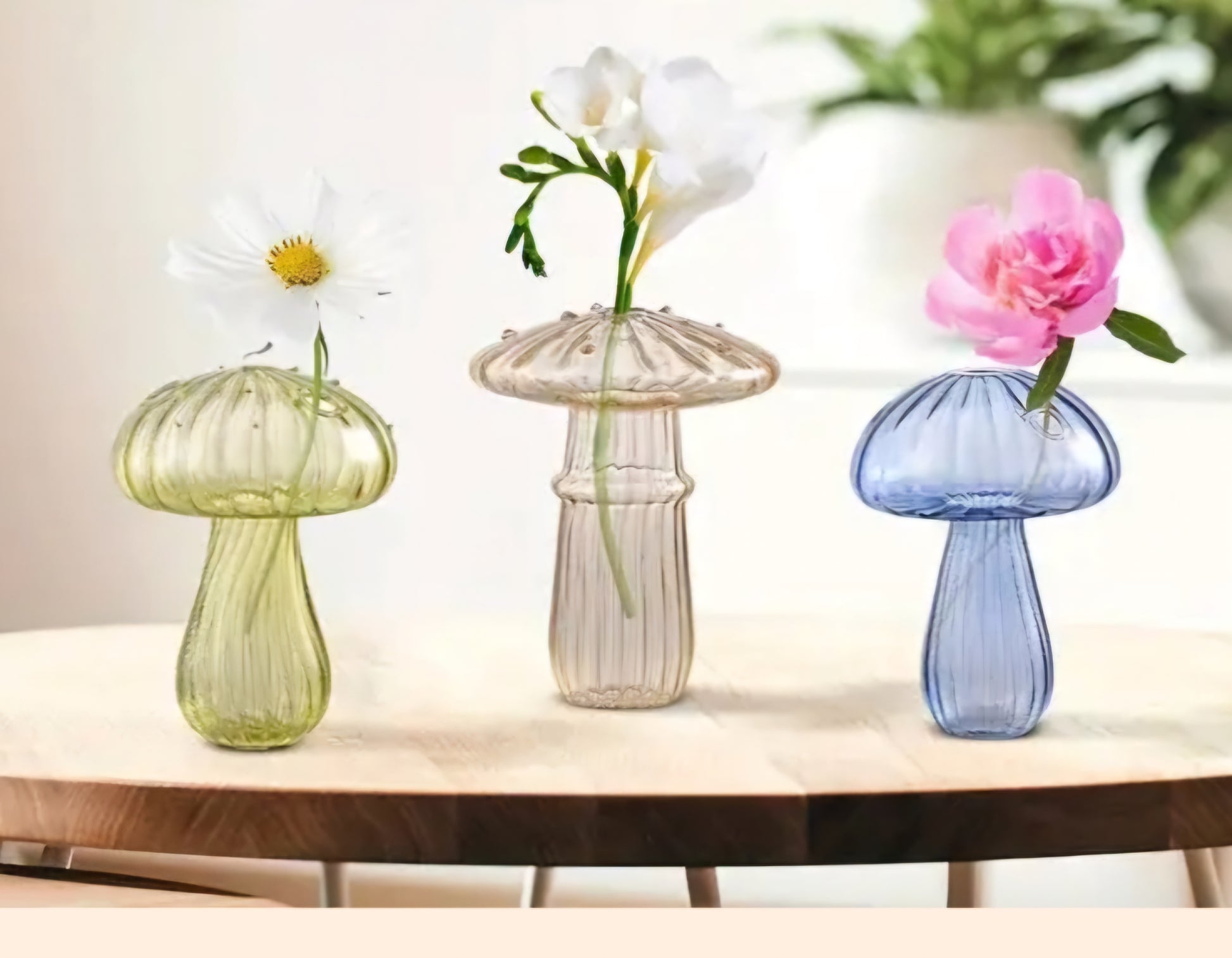 Mushroom Vase /Propagation Vase - Wiggle & Ding