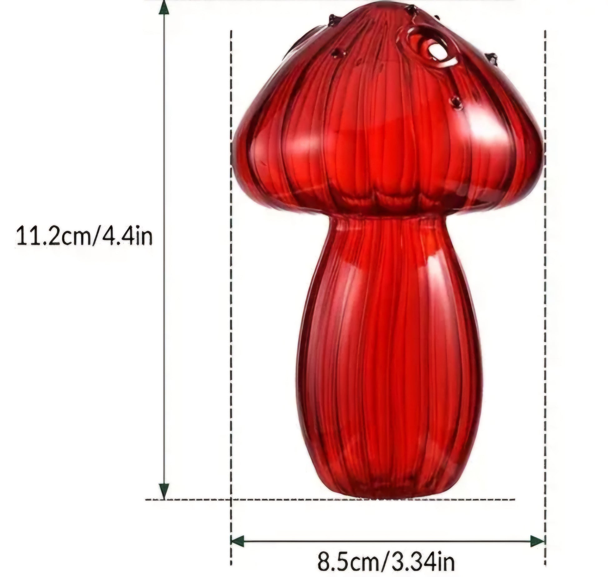 Mushroom Vase /Propagation Vase - Wiggle & Ding