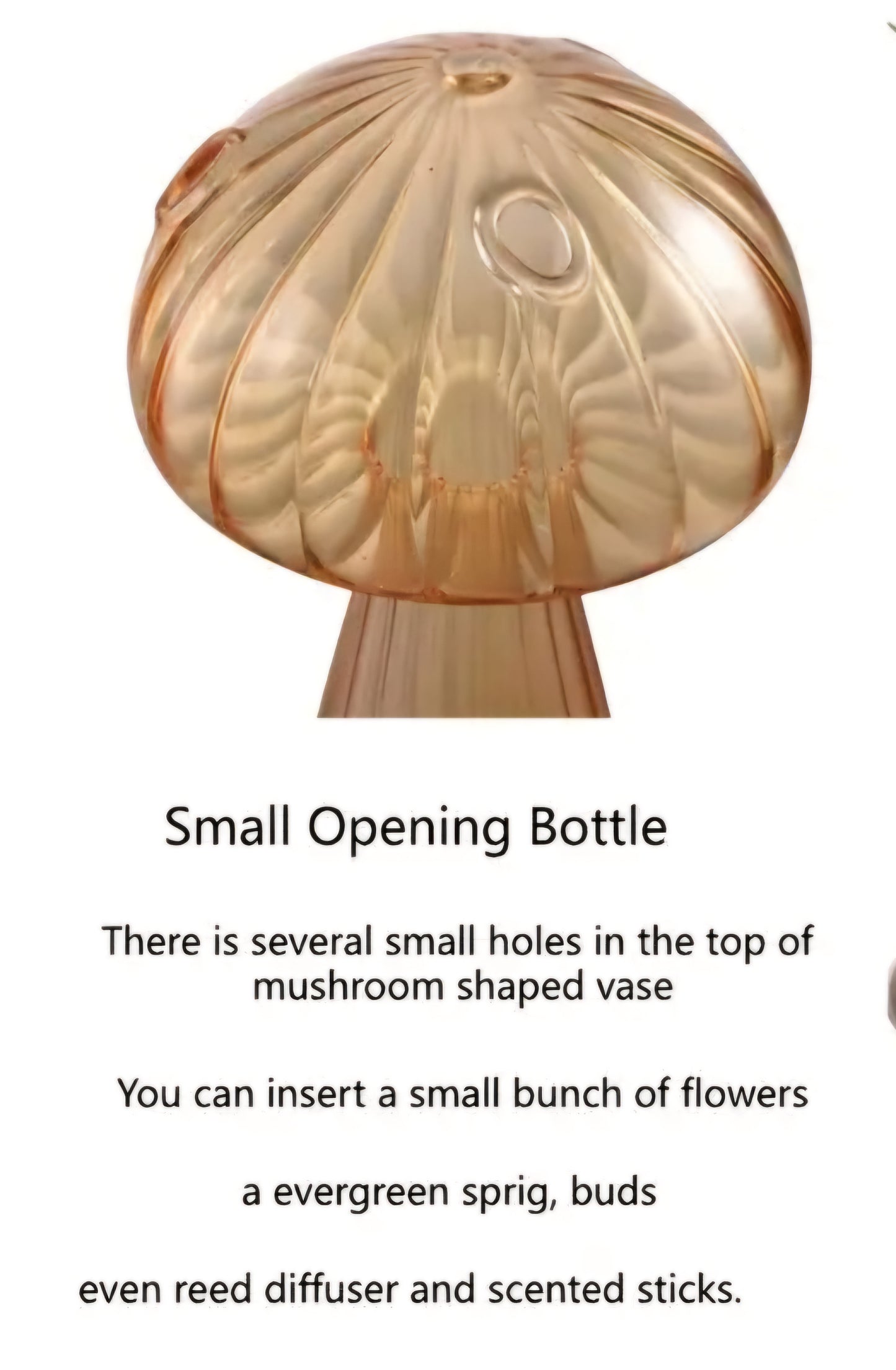 Mushroom Vase /Propagation Vase - Wiggle & Ding